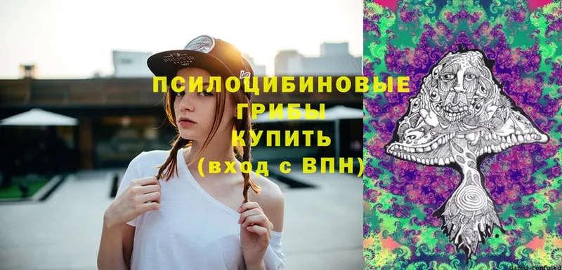 Псилоцибиновые грибы Psilocybe  Карпинск 