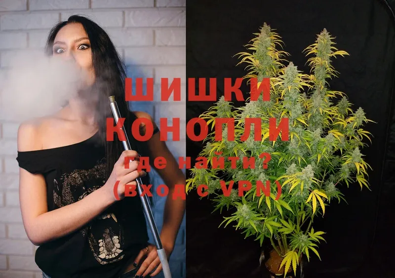 Шишки марихуана SATIVA & INDICA  сколько стоит  ссылка на мегу как войти  Карпинск 